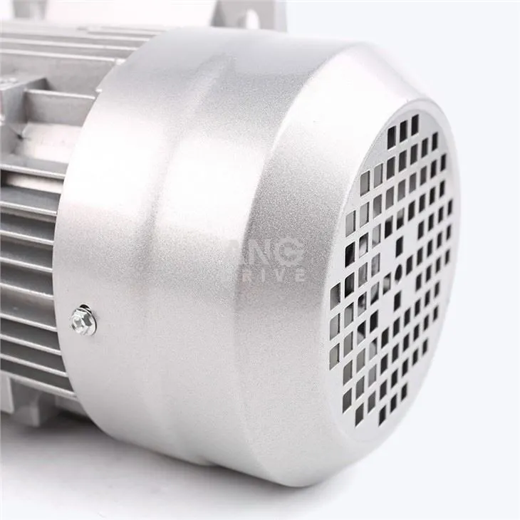 AC Induction Motor