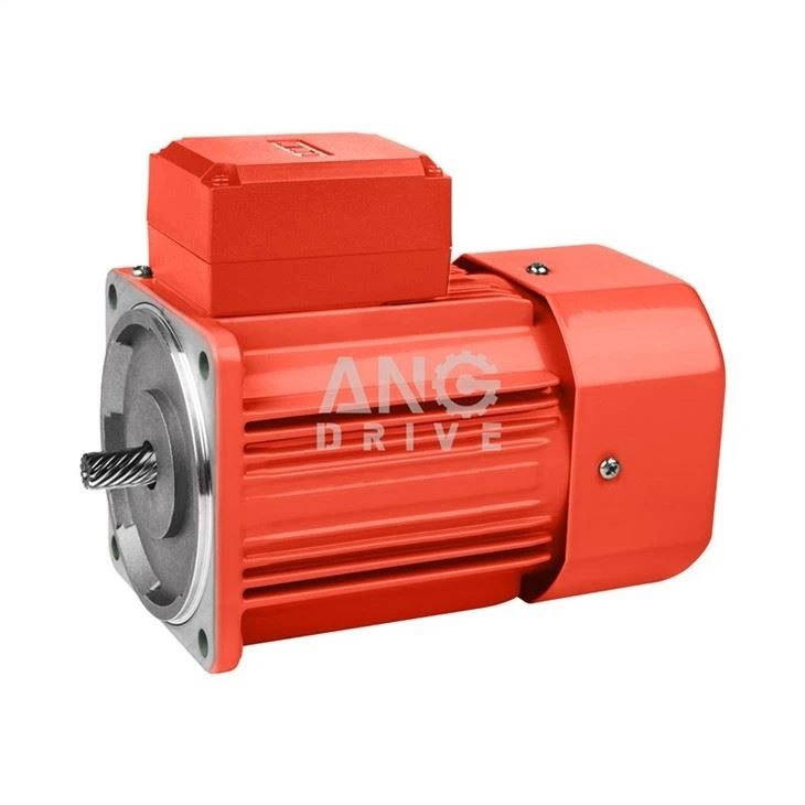 micro motor