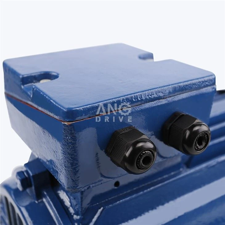 11KW Motor