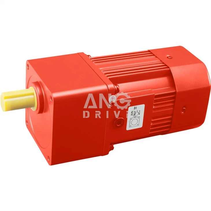 AC Reversible Motor
