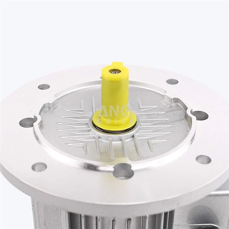 2 HP Motor