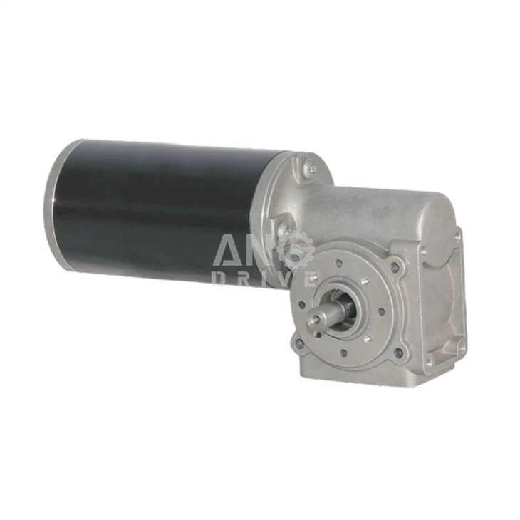 dc brushless worm gear motor