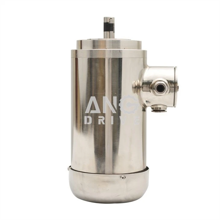IEC Stainless Steel Motor