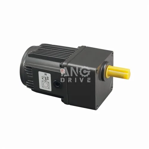 YN60 Motor