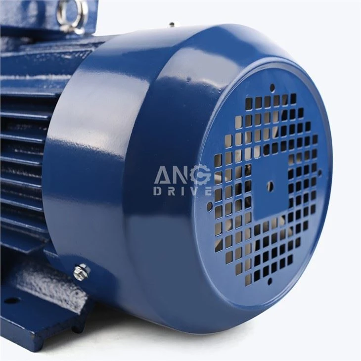 YE3-112m-4-premium-efficiency-three-phase5