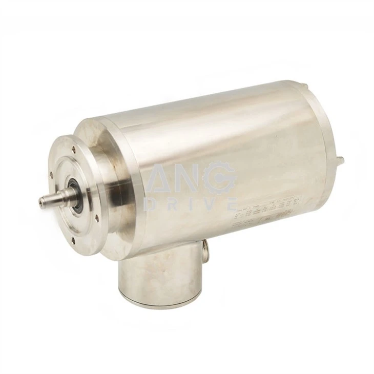 waterproof electric motor