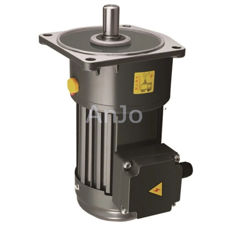 Small Ac Gear Motor